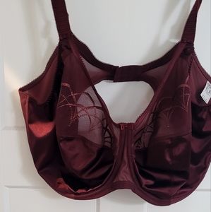 Elomi Plus Burgundy Bra